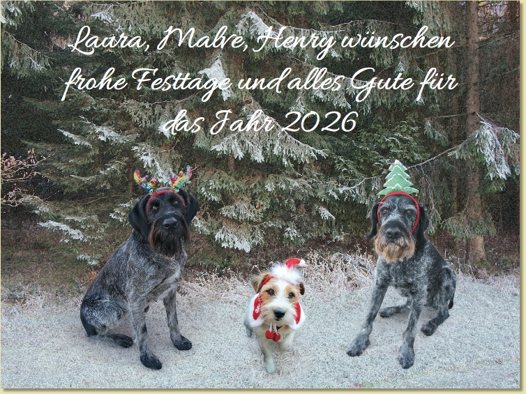 NeudeckWeihnachtsw�nsche26_1